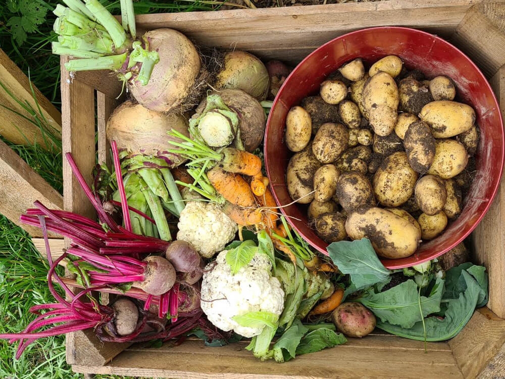 Wooden box full of lots of vegetables.